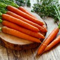 Carrots & Parsnips