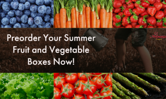 Fruit and Vegetable Boxes Start Week of June 26!
