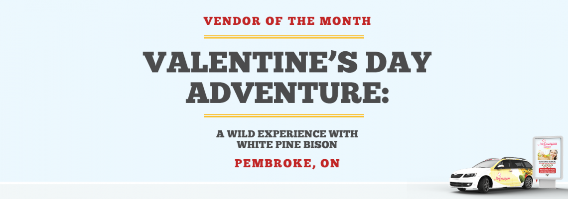 Valentine’s Day Adventure: A Wild Experience with White Pine Bison