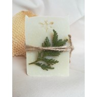 Soap: Cedar and Vanilla
